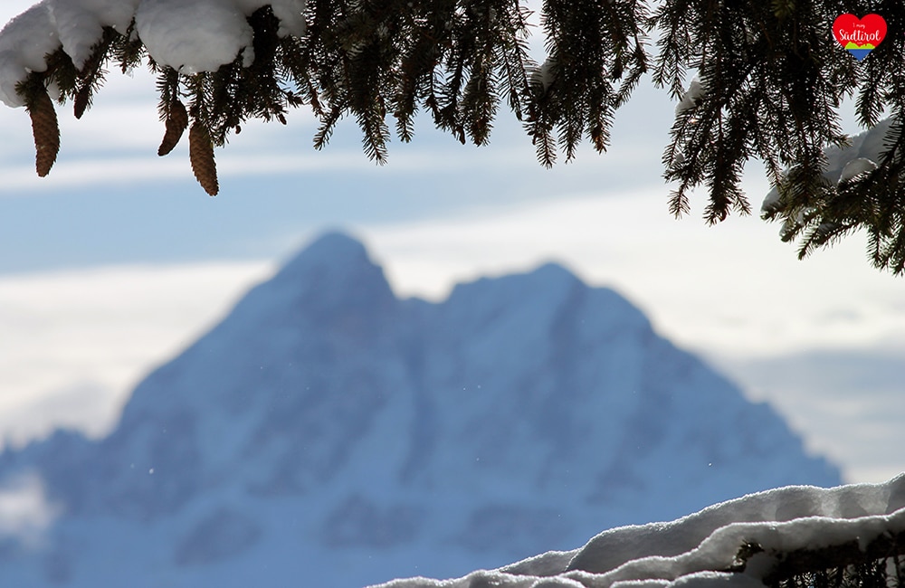 Wanderung zur Roneralm - Blick Peitler Kofel