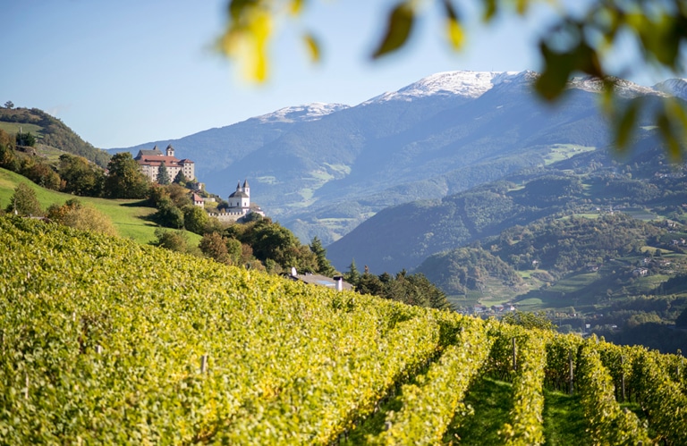 Weinberge - Klausen © IDM- Alex Filz