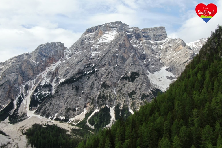 www.imogsuedtirol.com