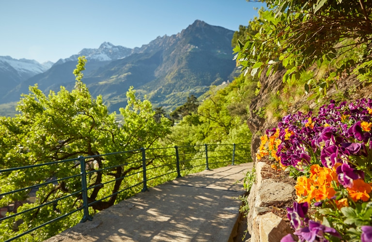 Tappeinerweg © IDM - Stefan Schütz