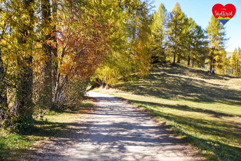 Wanderung-Seiser-Alm240