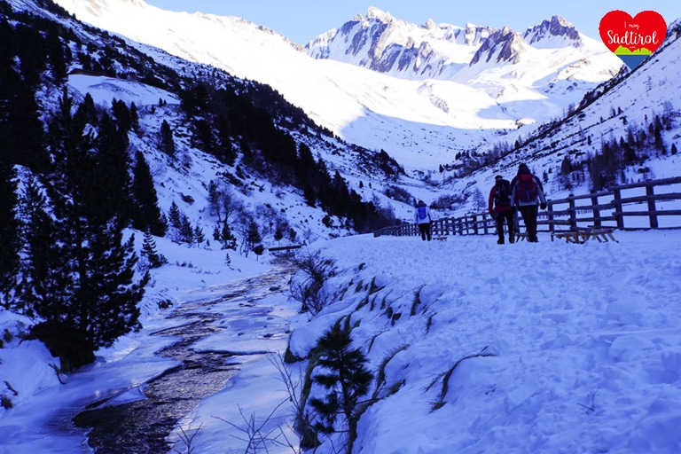 Winterwanderung-Knuttn-Alm-Rein-in-Taufers66