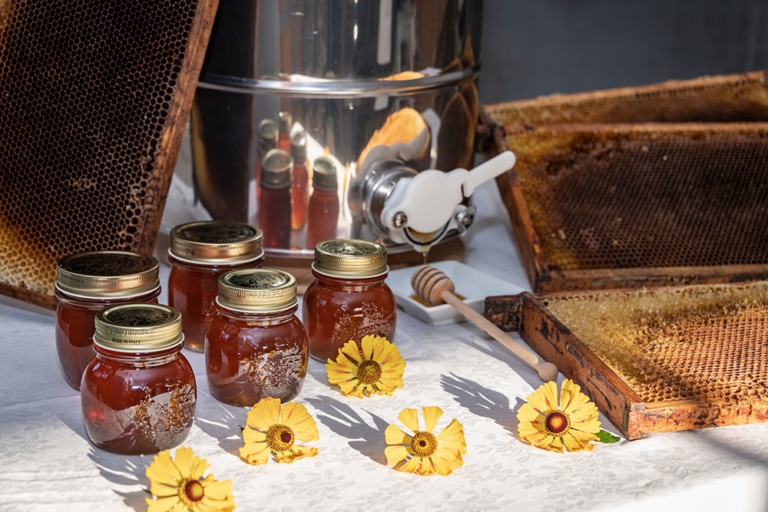honig-herstellung