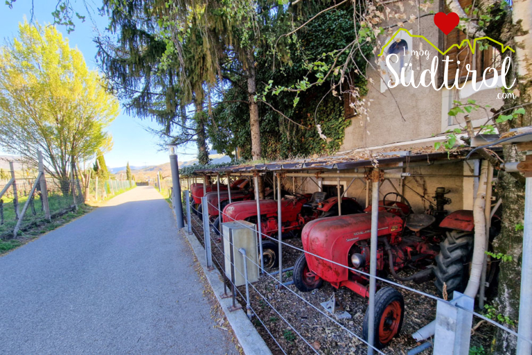 Kalterer See Rundwanderung I Mog Suedtirol 040