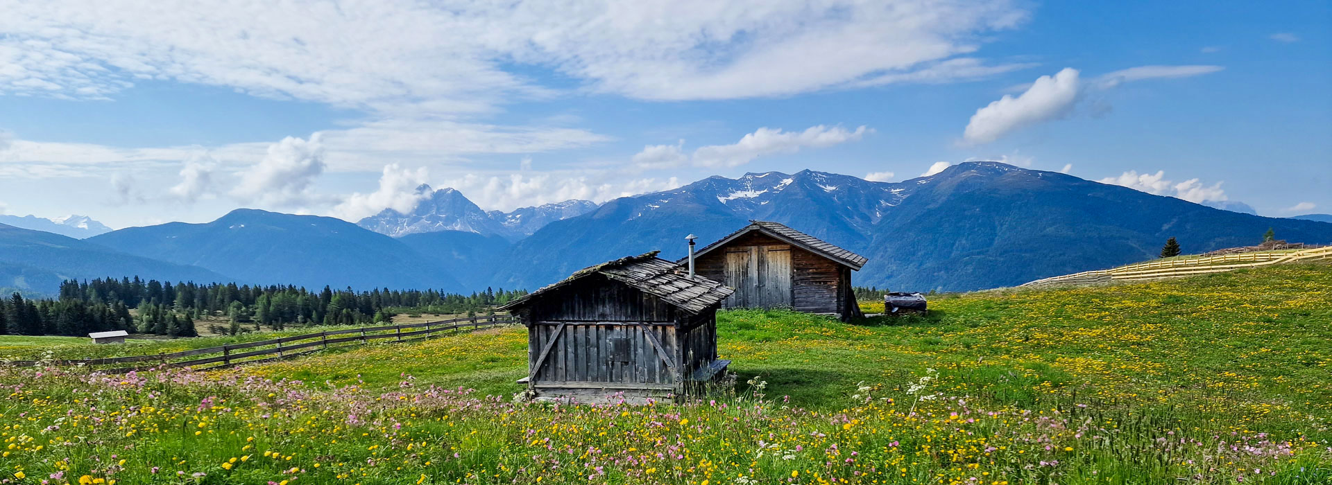 Rodenecker Alm Sommer Blick Peitlerkofel