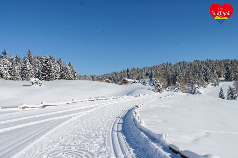 rodenecker-alm-wiinterwandern2