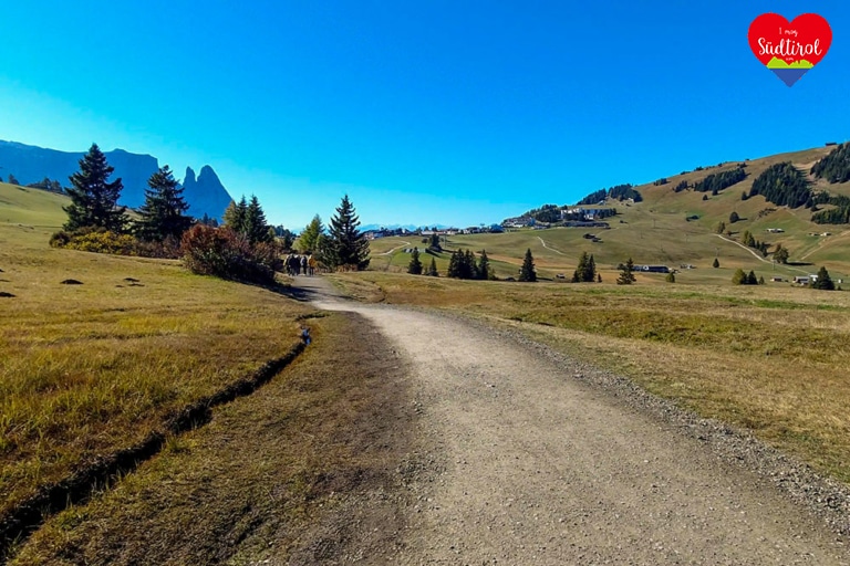 rundwanderung-seiseralm006