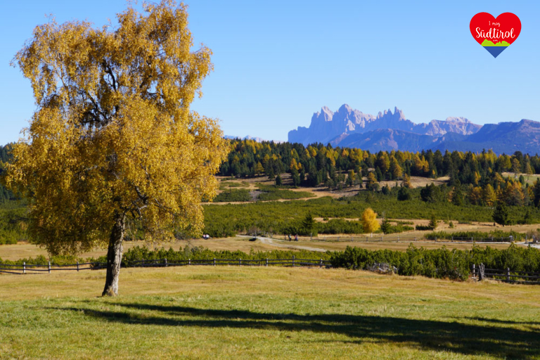 Villanderer Alm Herbst Wanderung
