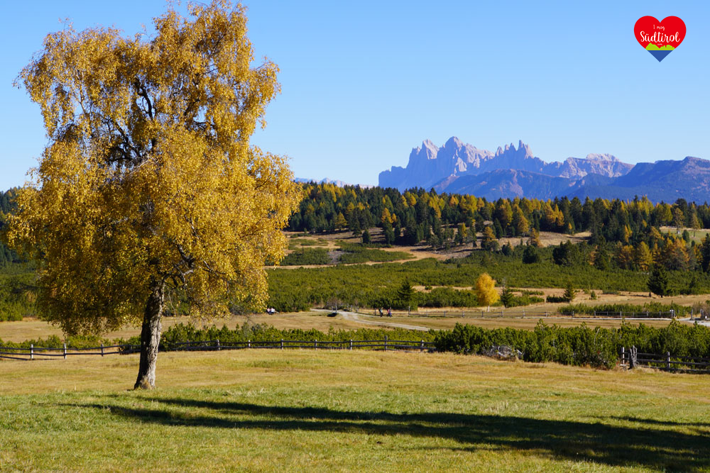 Villanderer Alm Herbst Wanderung