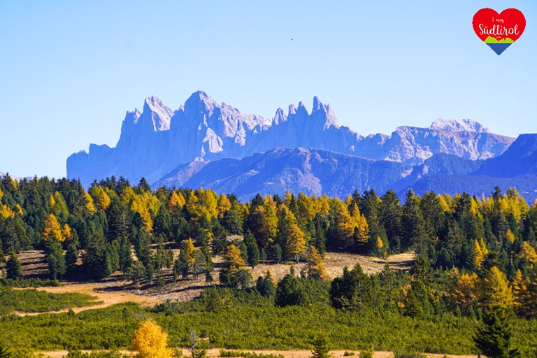 villanderer-alm-suedtirol-rundwanderung134