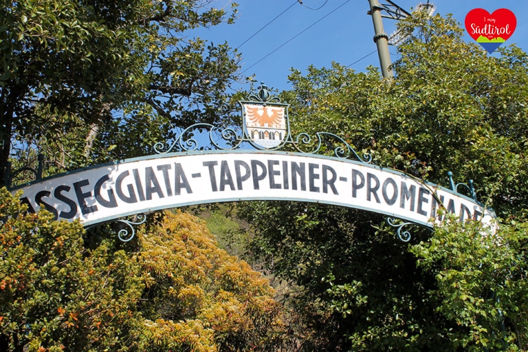 wandern-algunder-waalweg-tappeinerweg_40