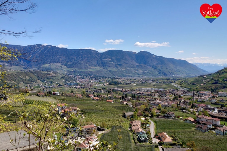 wandern-algunder-waalweg-tappeinerweg_63
