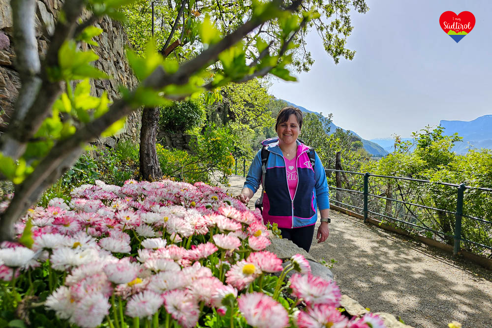 Wandern Meran Algunder Waalweg Tappeinerweg 067