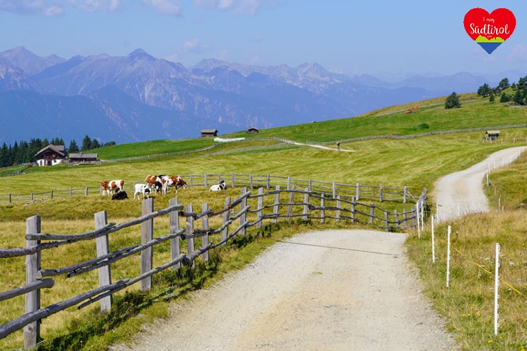 wanderung-astjoch-rodeneckeralm083