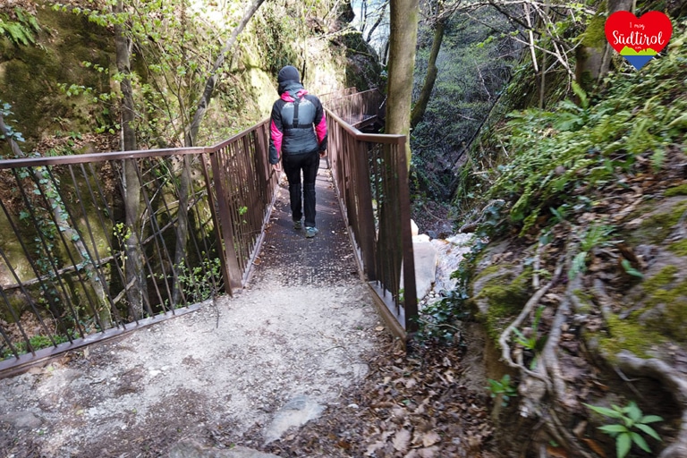 wanderung-friedensweg16