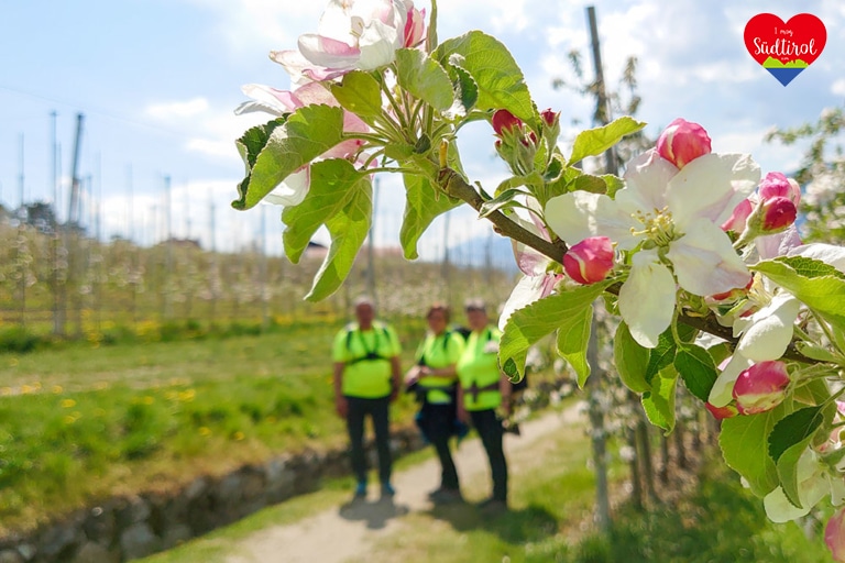 wanderung-maiser-waalweg_67