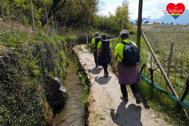 wanderung-maiser-waalweg_78