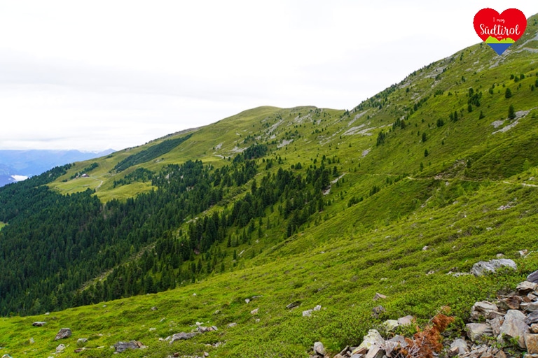 wanderung-ochsenalm-plose089