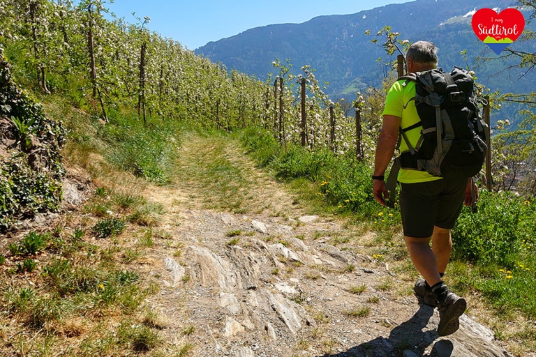 wanderung-sonnenberger-panormaweg027