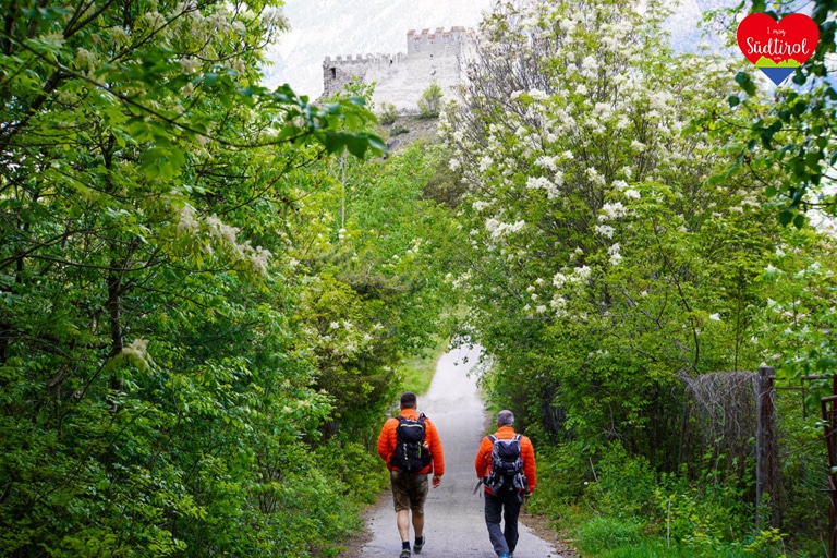 Blick-Burgruine_Obermontani