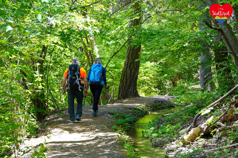 Rückwanderung-Waalweg