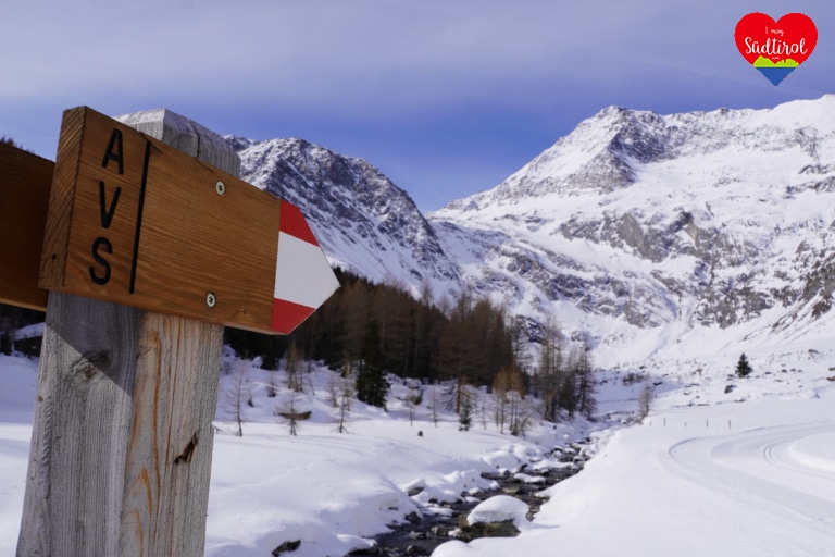 winterwanderung-lazinser-alm-pfelders196 Kopie